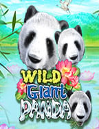 รีวิว เครดิต ฟรี ไม่ ต้อง ทํา เท ริน ระบบเล่นง่ายและการจ่ายสูง